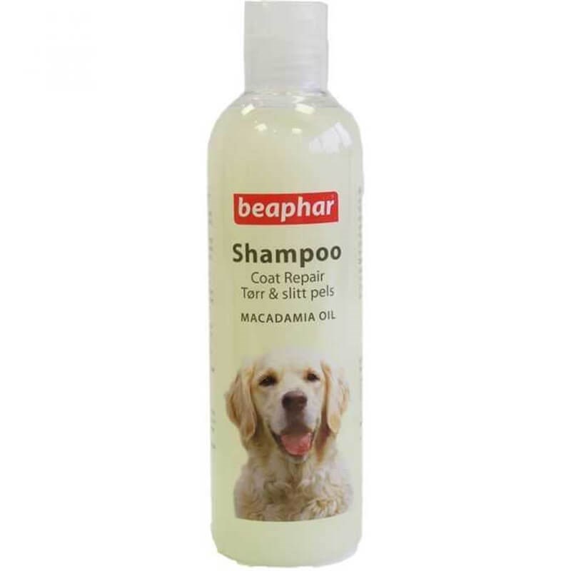 Beaphar Glossy Coat Köpek Şampuanı Parlak Tüyler 250 Ml