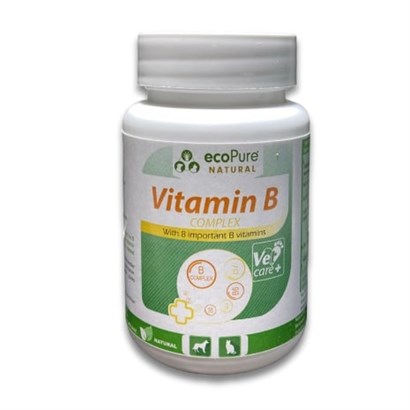 Ecopure Kedi ve Köpekler İçin Vitamin B Complex 40 gr