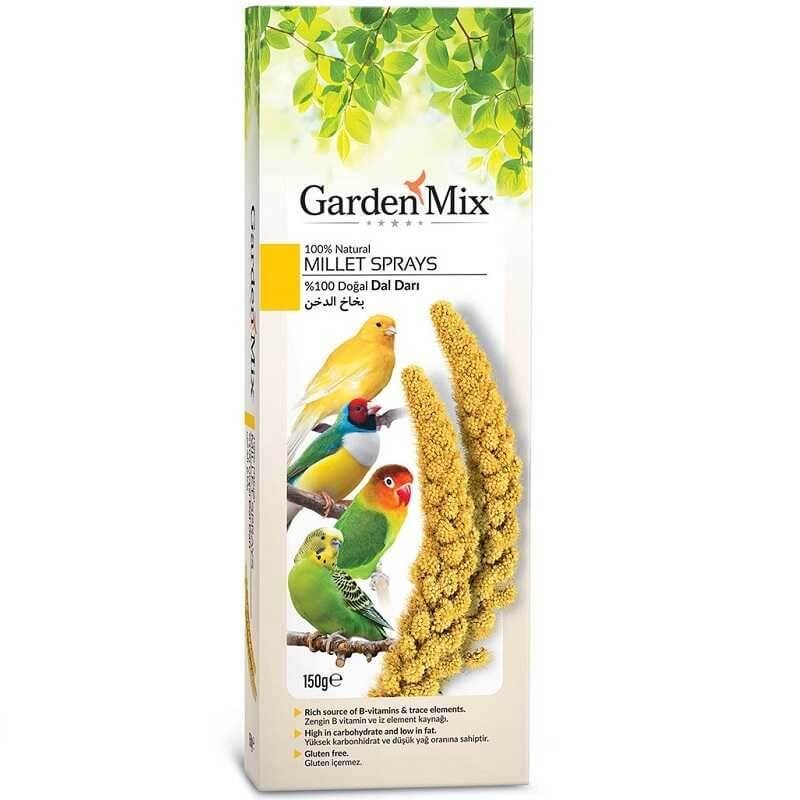 Gardenmix Platin Sarı Dal Darı