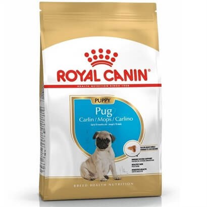 Royal Canin Pug 25 Pug Junior Yavru Köpek Maması 1,5 Kg