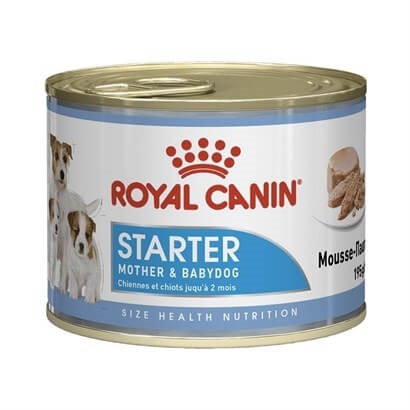 Royal Canin Starter Mousse Yavru Köpek Konservesi 195 Gr