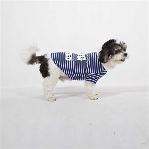 Doggy Dolly Coolest Dog Köpek Tişörtü Mavi Medium