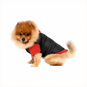 Doggy Dolly Polar Destekli Köpek Montu Siyah XL