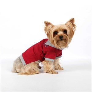 Doggy Dolly Polo Köpek Tişörtü Kırmızı Large