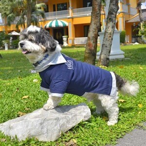 Doggy Dolly Polo Köpek Tişörtü Lacivert XS