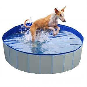 Duvo+ Dog Pool Köpek Oyun Havuzu