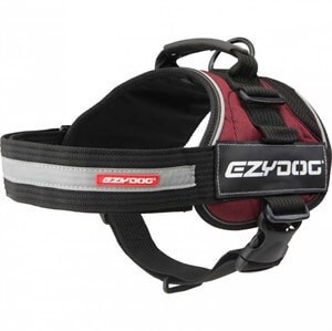 EzyDog Convert Harness Modern Köpek Göğüs Tasması Bordo Large