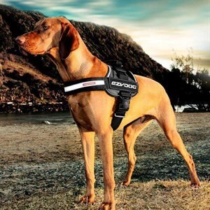 EzyDog Convert Harness Modern Köpek Göğüs Tasması Siyah Medium