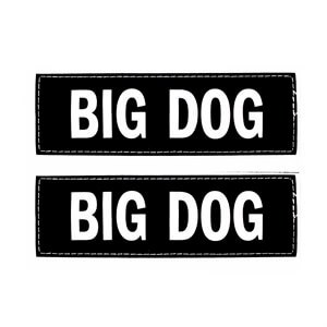 EzyDog Patch Göğüs Tasması Yan Etiketleri Big Dog