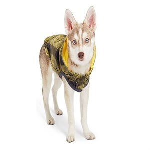 GF PET - Çift Taraflı Kapşonlu Köpek Yağmurluğu Sarı 2XS