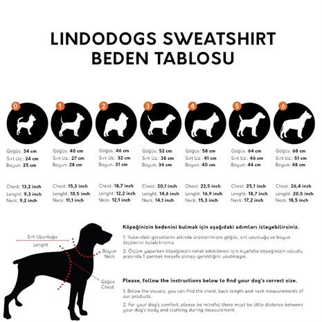 Lindo College ALLSTAR Köpek Sweatshirt Beden 1