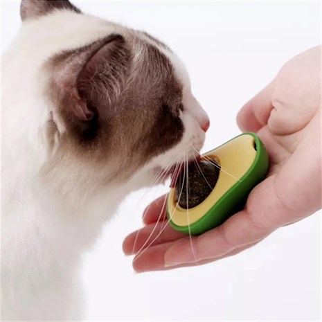 Petcorn Catnipli Avokado Kedi Oyuncağı 4,5x6cm