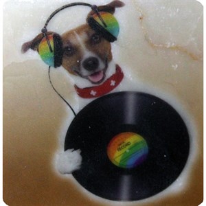 Petdesign Doggy Doğal Taş Magnet 4 Lü