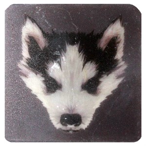 Petdesign Happy Line Dog Doğal Taş Magnet 4 Lü