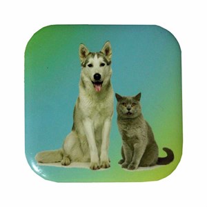 Petdesign Kedi ve Köpekler Metal Bardak Altlığı 4 Lü