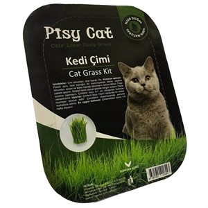 Pisy Cat Doğal Kedi Çimi
