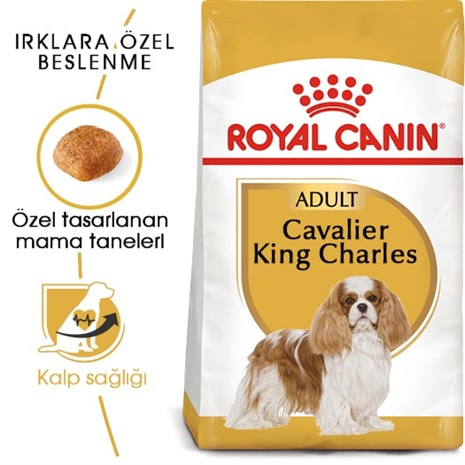 Royal Canin Cavalier King Charles 27  Yetişkin Köpek Maması 1,5 Kg