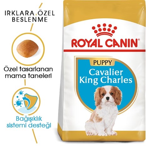 Royal Canin Cavalier King Charles Junior Yavru köpek Maması 1,5 Kg