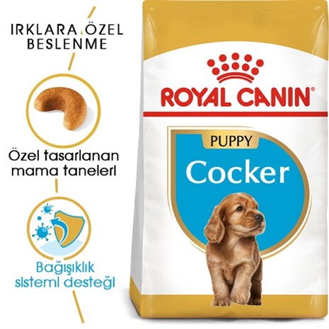Royal Canin Cocker Junior Yavru Köpek Maması 3 Kg