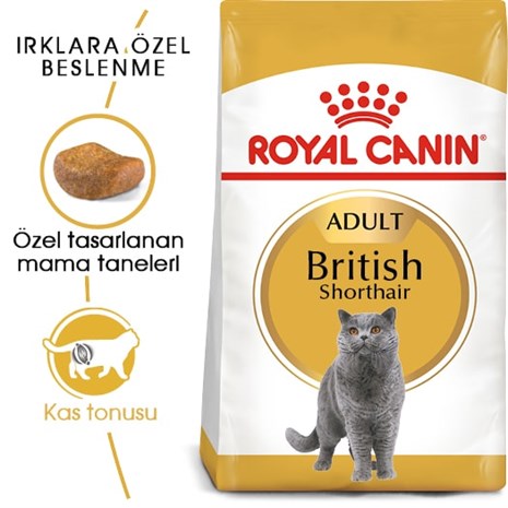 Royal Canin FBN British Shorthair Yetişkin Kedi Maması 4 Kg