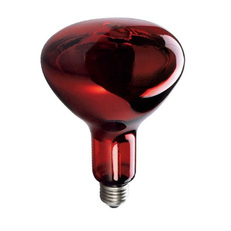 Sylvania Infrared Bulb 150 Watt