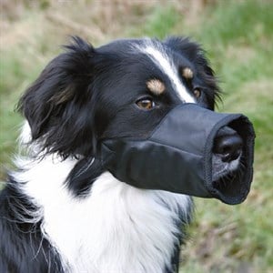 Trixie Köpek Ağızlık Small - Medium Siyah 15cm