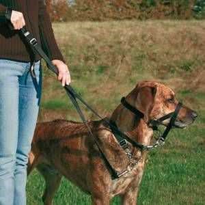 Trixie Köpek Eğitim Tasması Large-Beden 31cm