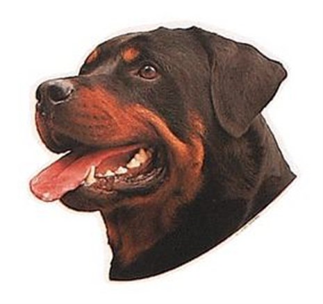Trixie Rottweiler Köpeği Yapışkanlı Sticker 19,5 cm