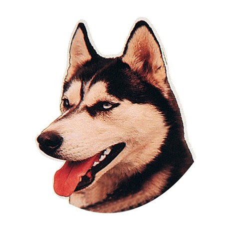 Trixie Sibirya Kurt Köpeği Yapışkanlı Sticker 19,5 cm