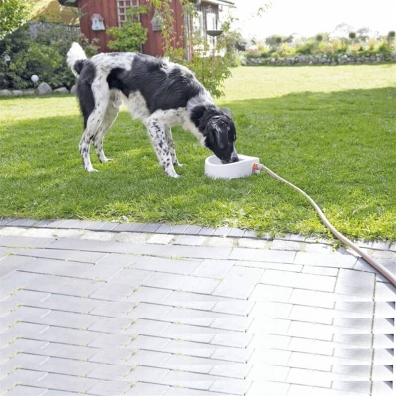 Trixie Kedi ve Köpekler İçin Bahçe su Kabı1.5 Lt